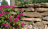 weathered fieldstone wallstone landscape stone by semco stone